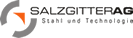 Logo Salzgitter AG
